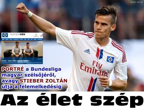 stieberzoltan_hsv
