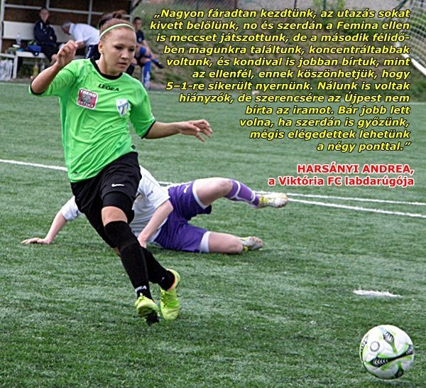 harsanyiandrea_velemeny