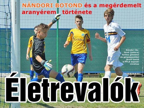nandoribotond