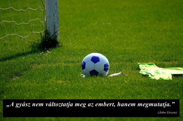 11701187_1006608932723482_5291037361410226333_n