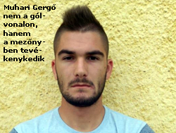 capture-20160429-202251