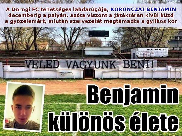 koronczaibenjamin_kopf