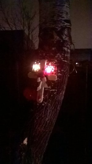 10259952_877081252412862_2183258431662863833_n