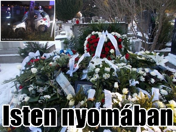 12541072_888872664567054_3092348618644885803_n