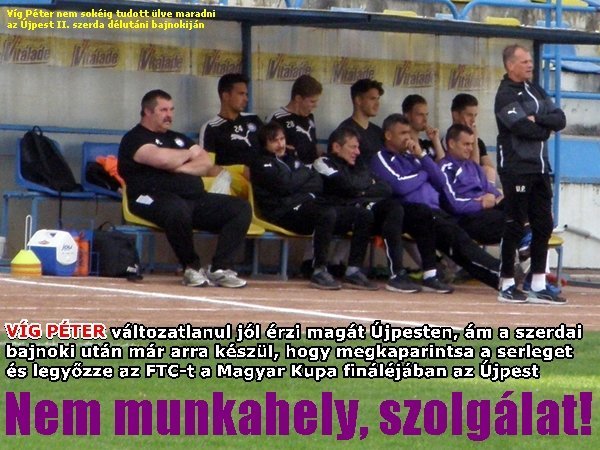 Vig mell nagy fehér egyenes kakas