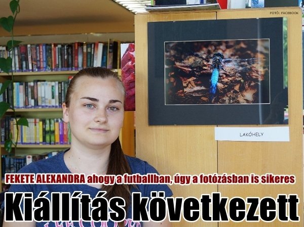 feketealexandra_kiallitas